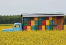 Ile od domu mogą być ule? Ile od domu mogą być ule?