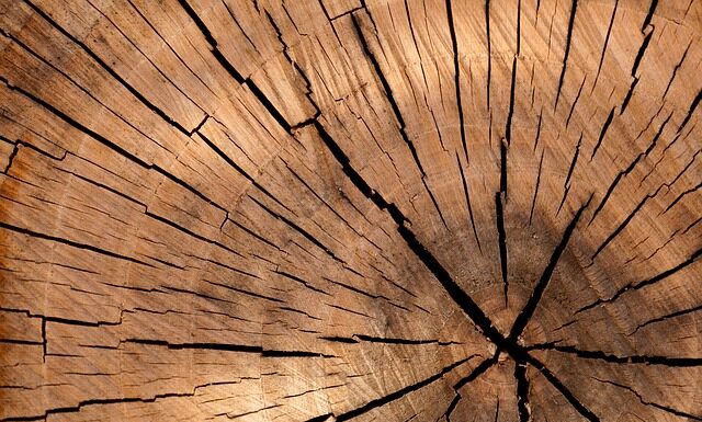 Jak wycinać kształty w drewnie?
