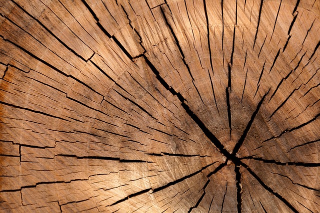 Jak wycinać kształty w drewnie?